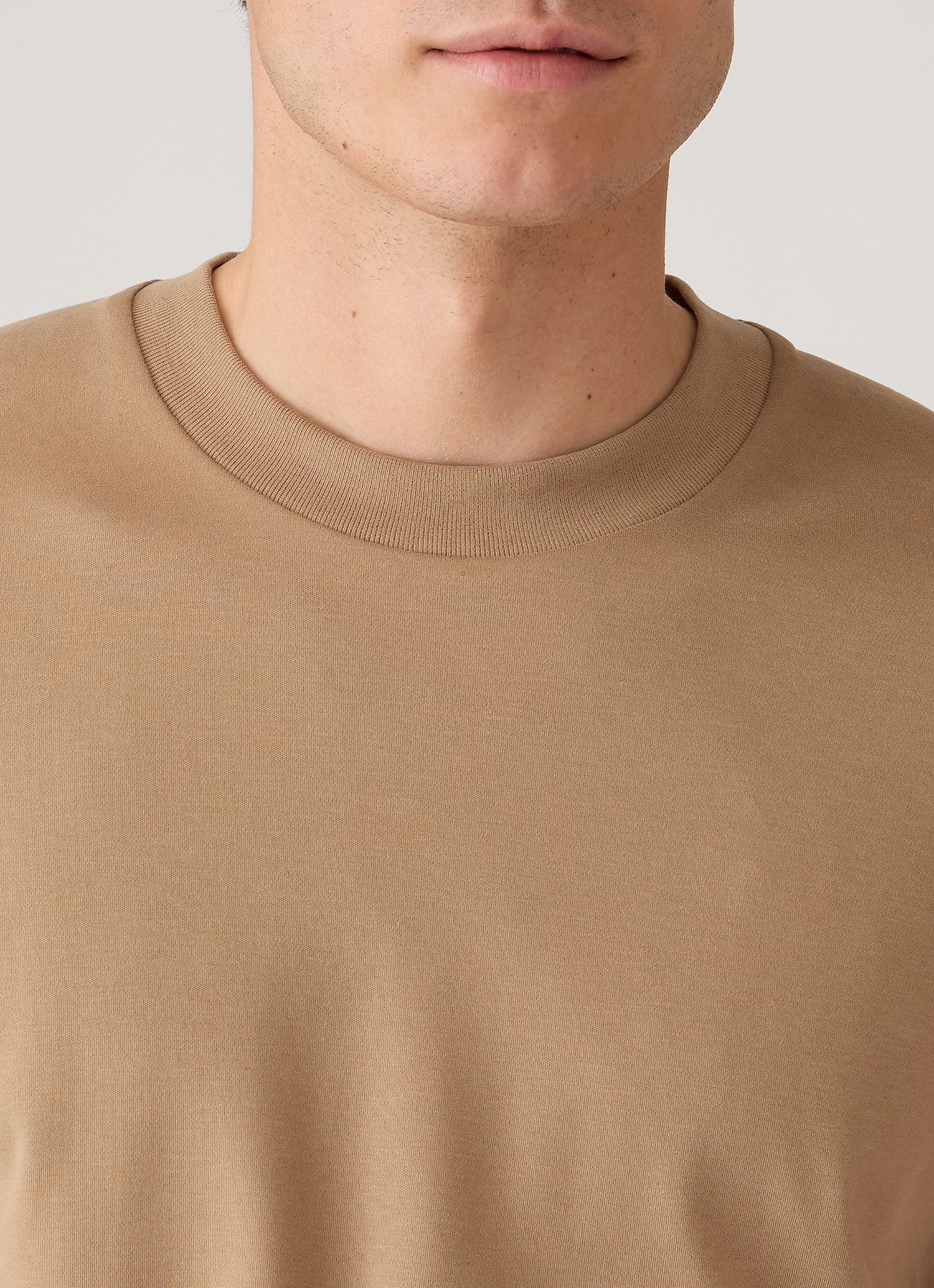 Men's Relaxed Fit Heavyweight T-shirt in Dark Beige