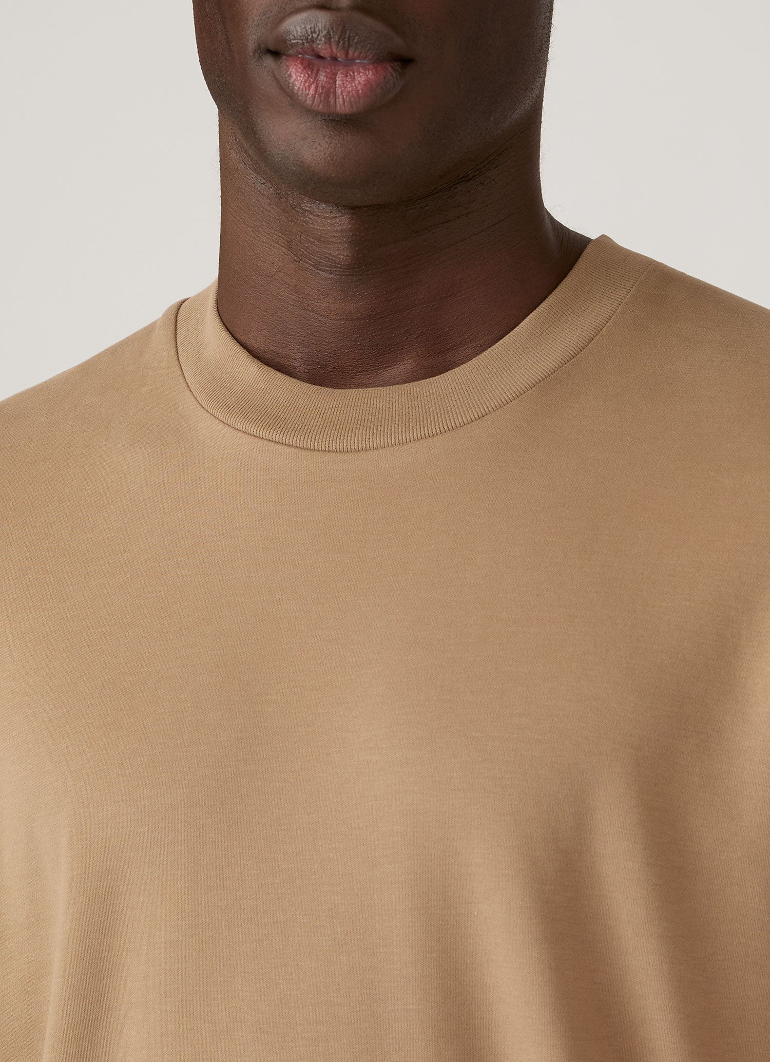 Men's Long Sleeve Heavyweight T-shirt in Dark Beige