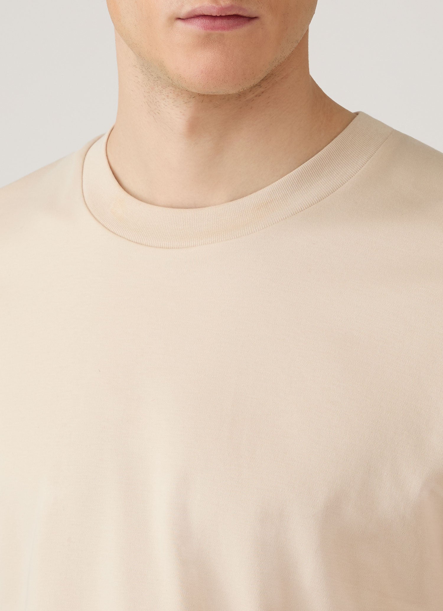 Men's Long Sleeve Heavyweight T-shirt in Swansdown