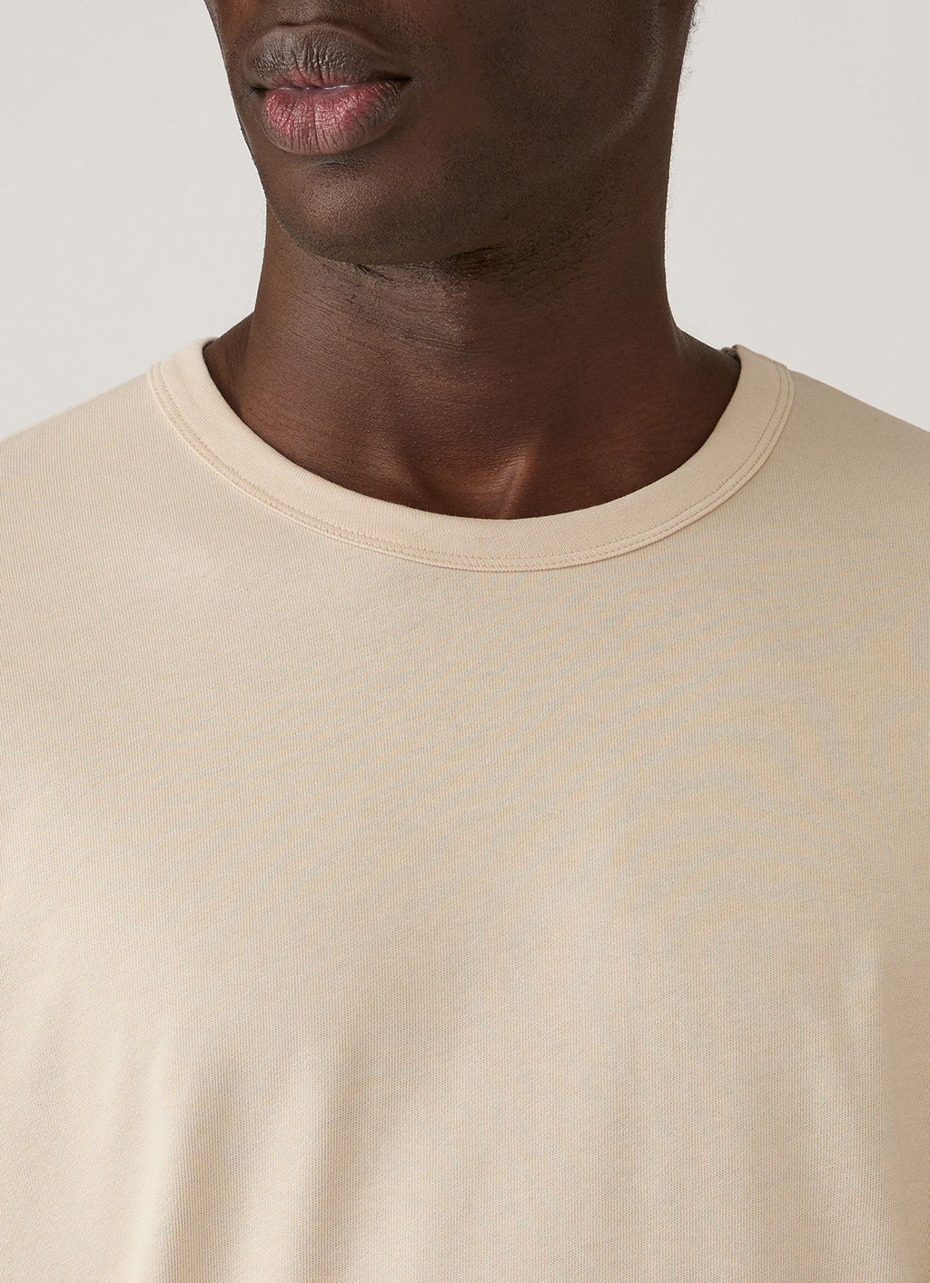 Men's Heavyweight Classic T-shirt in Swansdown